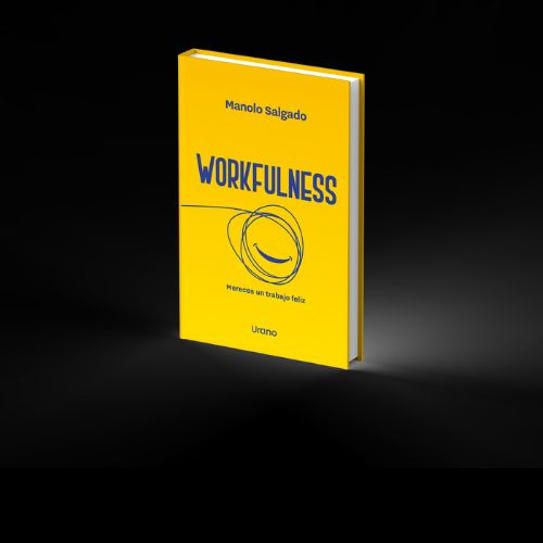 Imagen del libro Workfulness disponible en Brainboost